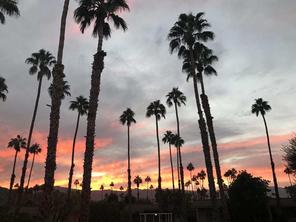 MLS #219134447DA image #45