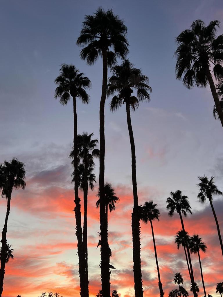 MLS #219134447DA image #46