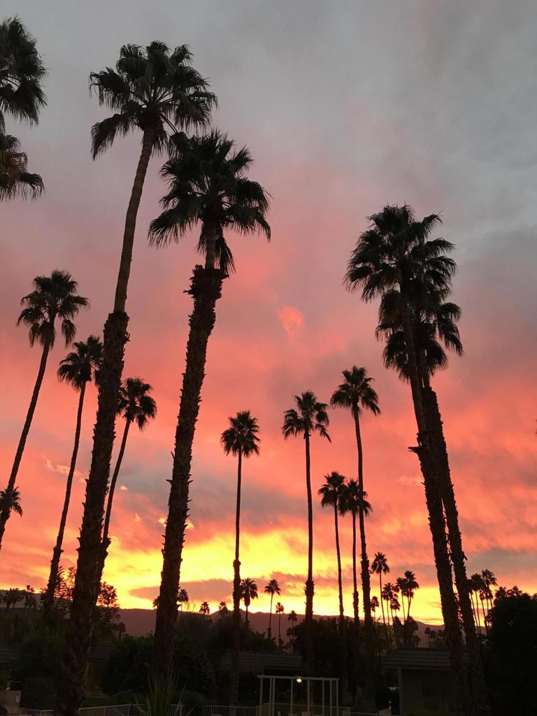 MLS #219134447DA image #47