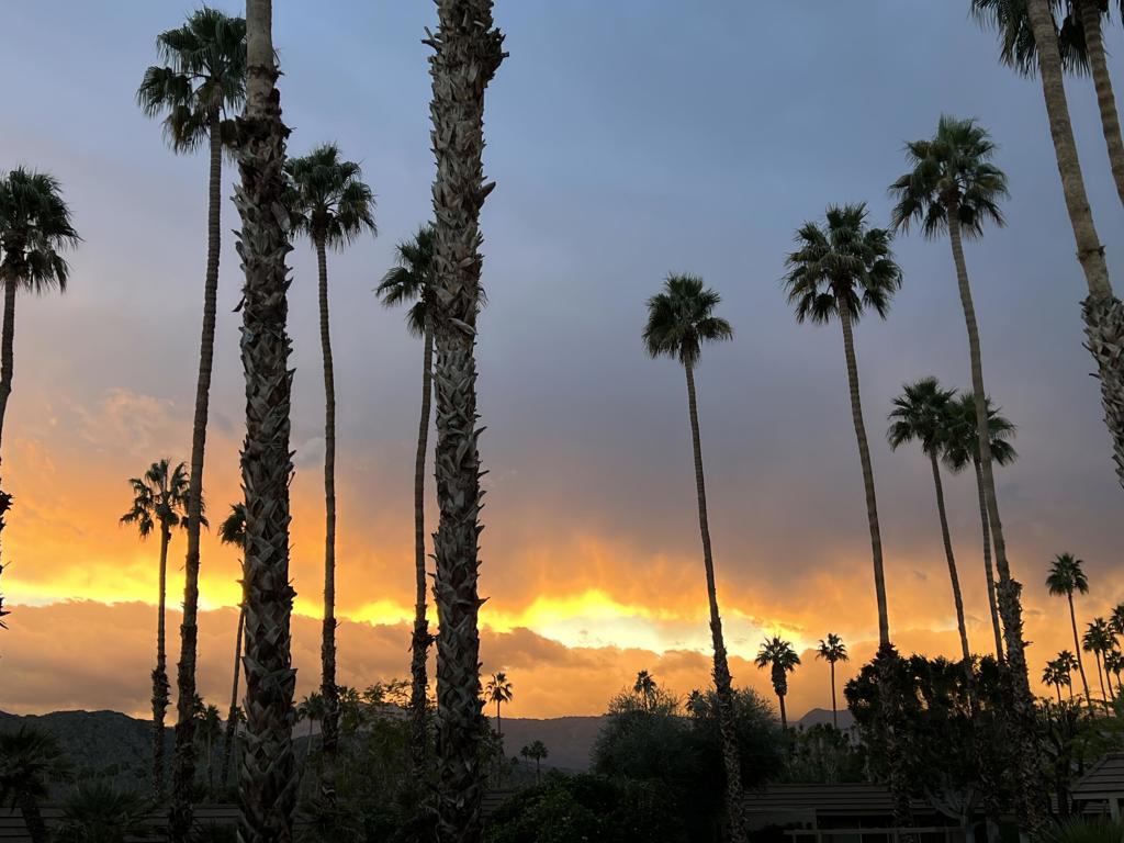 MLS #219134447DA image #48