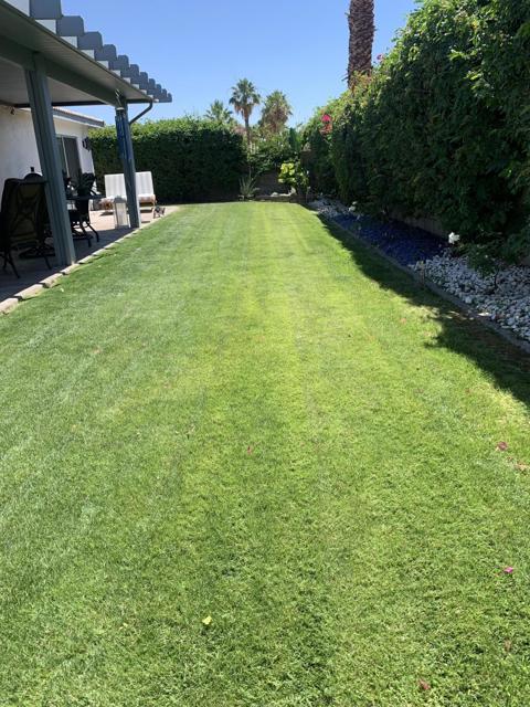 MLS #219134478DA image #10