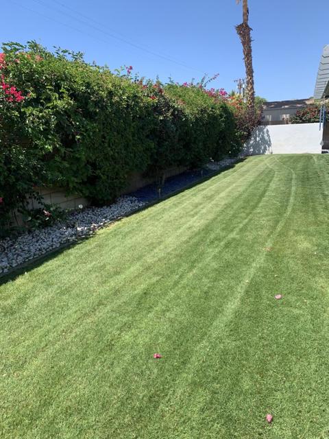 MLS #219134478DA image #9