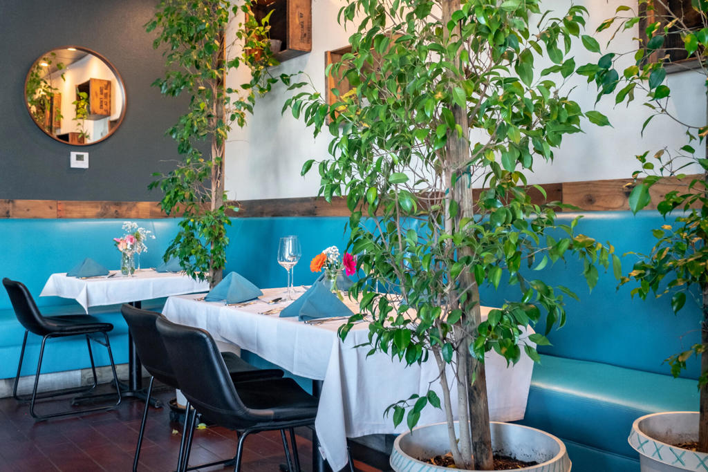 MLS #219134522DA image #6