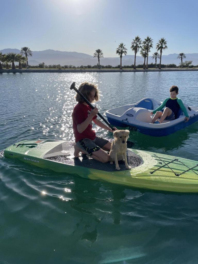 MLS #219134572DA image #26