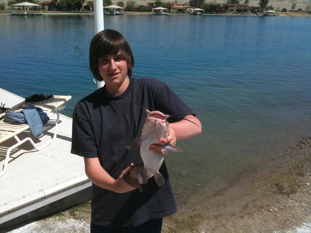 MLS #219134572DA image #43