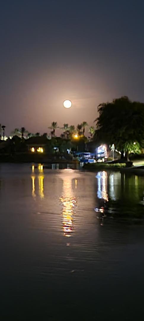 MLS #219134666DA image #50