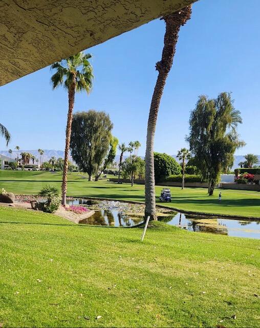 MLS #219134720DA image #6