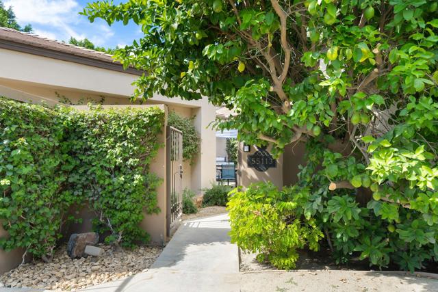 MLS #219134792DA image #6