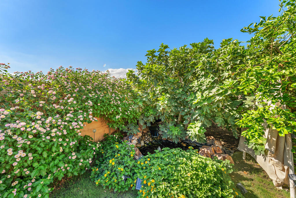 MLS #219134802DA image #17