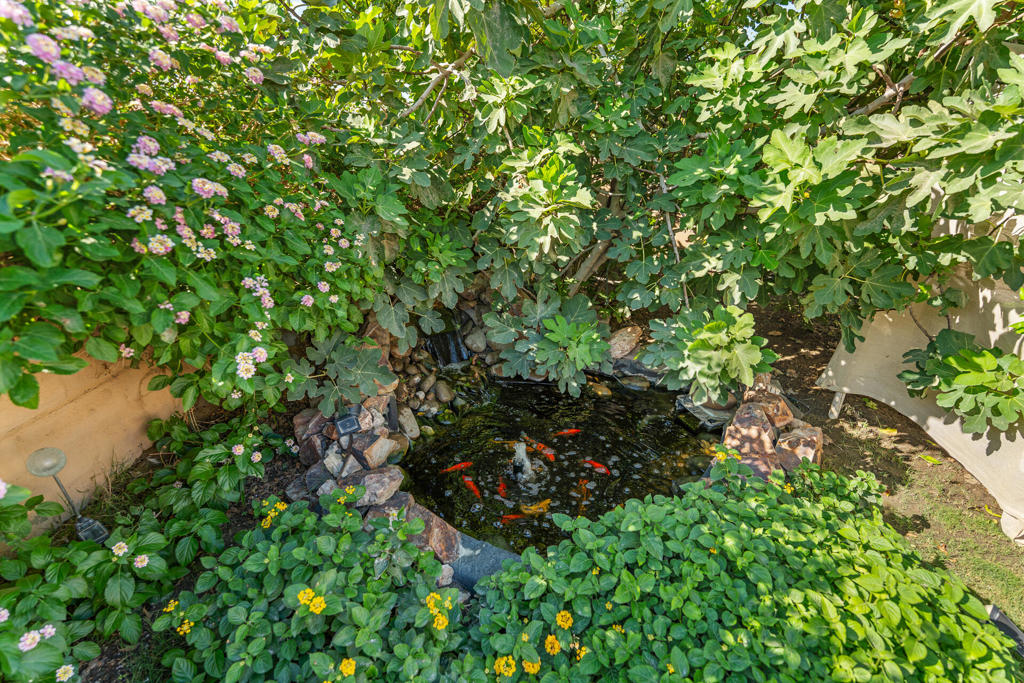 MLS #219134802DA image #18