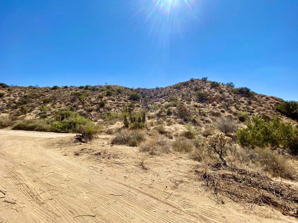 MLS #219134822PS image #12