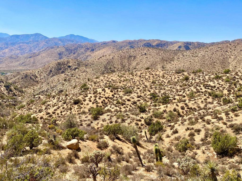 MLS #219134822PS image #13