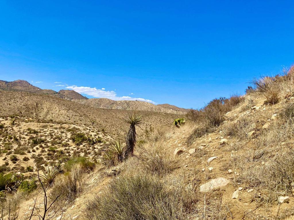 MLS #219134822PS image #14