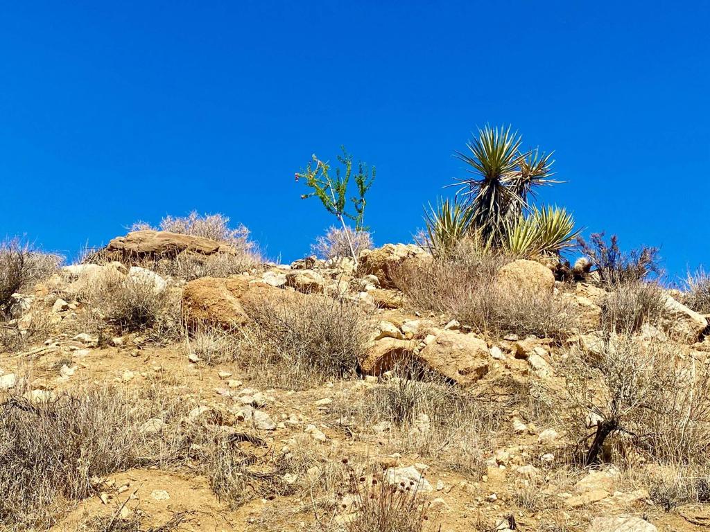 MLS #219134822PS image #16