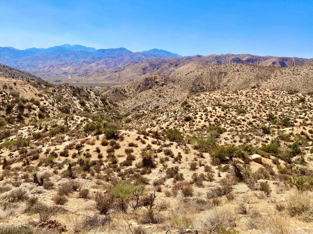 MLS #219134822PS image #17