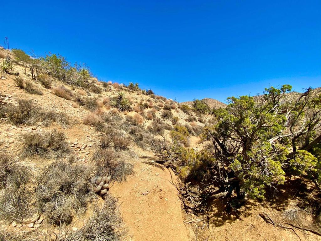 MLS #219134822PS image #18