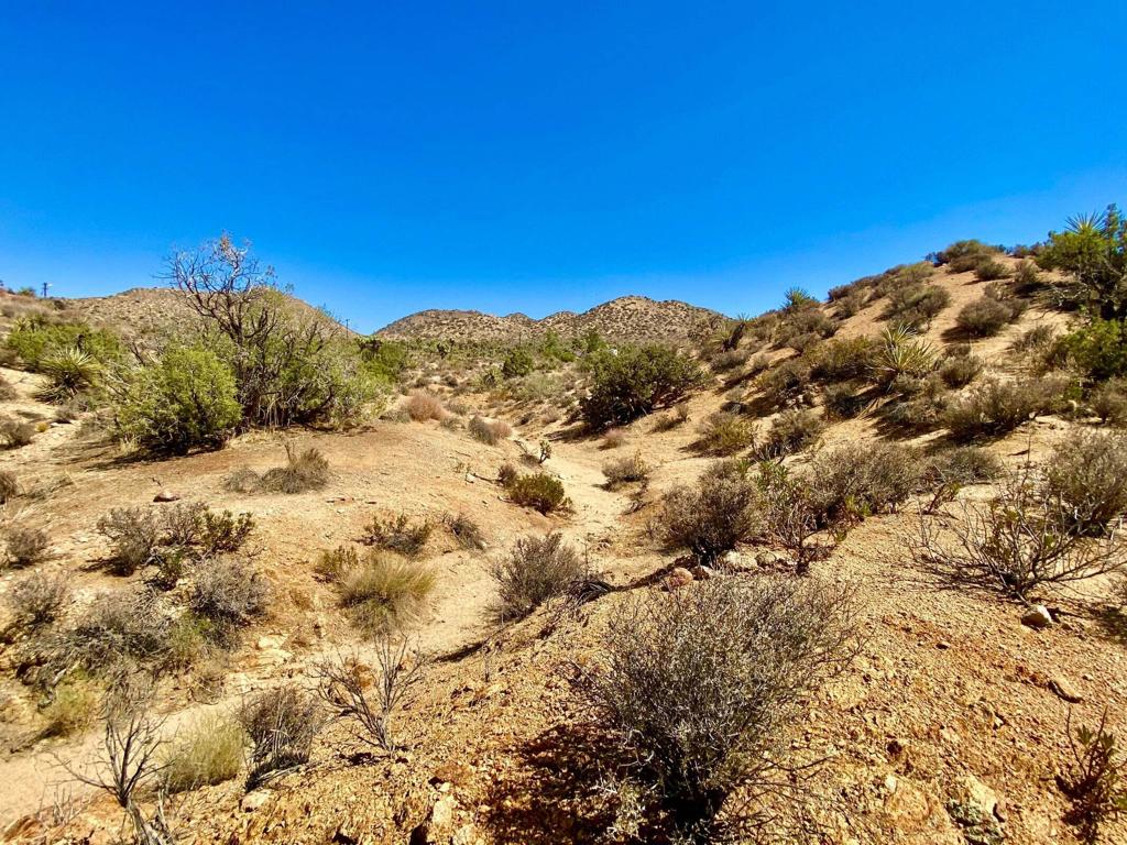 MLS #219134822PS image #19