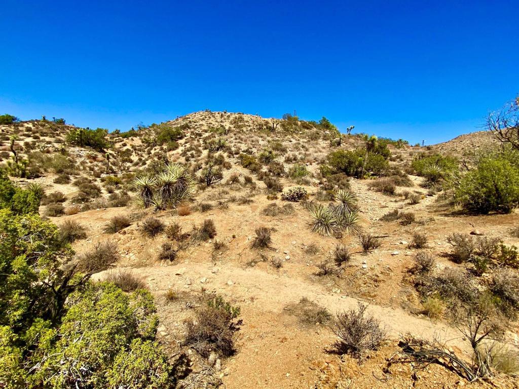 MLS #219134822PS image #20