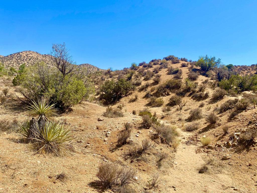 MLS #219134822PS image #21