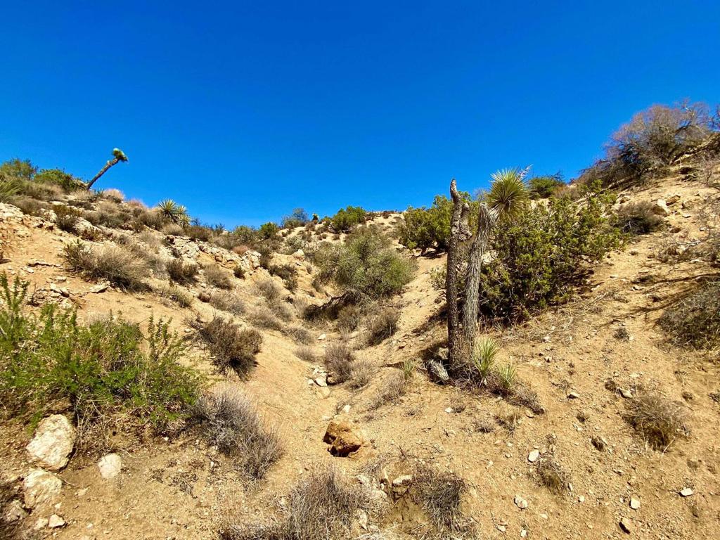 MLS #219134822PS image #22