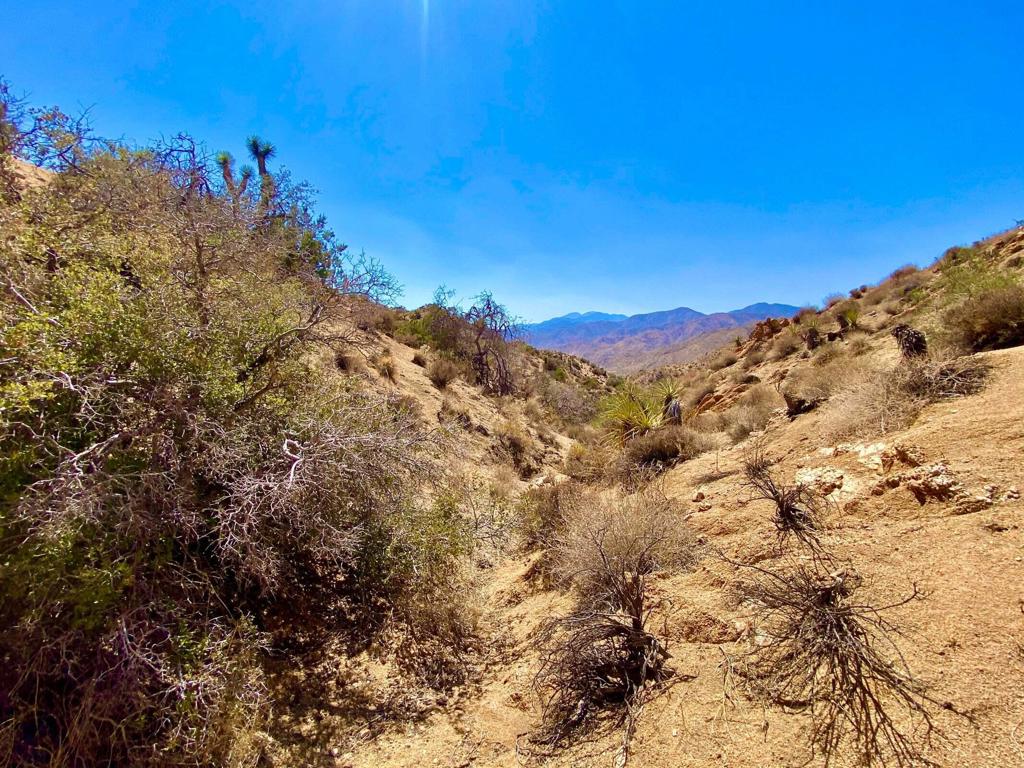 MLS #219134822PS image #23