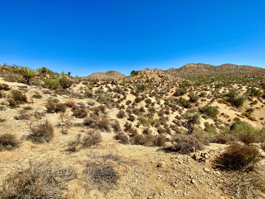 MLS #219134822PS image #25