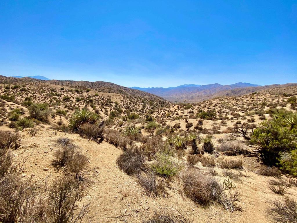 MLS #219134822PS image #26