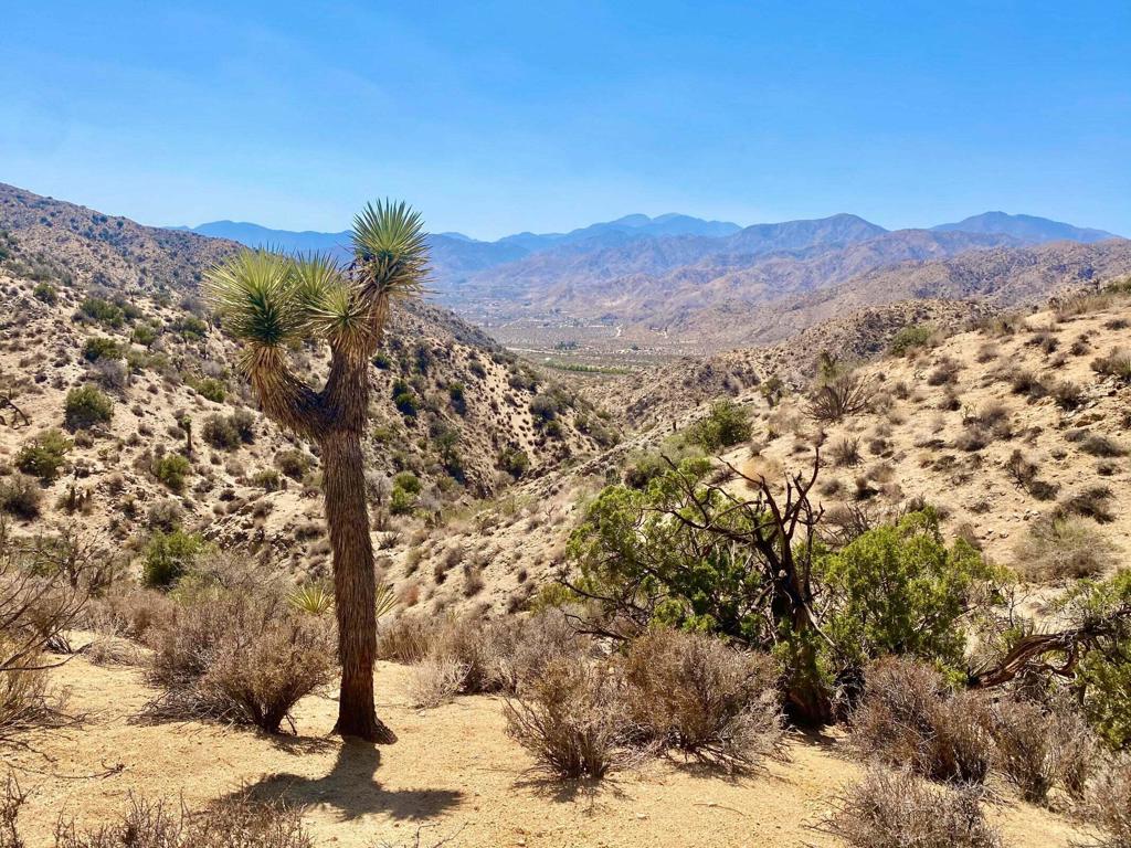 MLS #219134822PS image #31