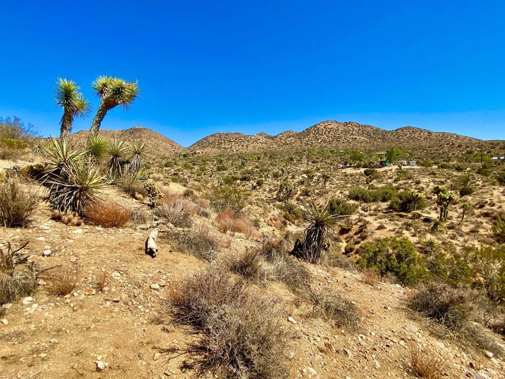 MLS #219134822PS image #32