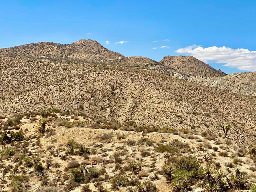 MLS #219134822PS image #7