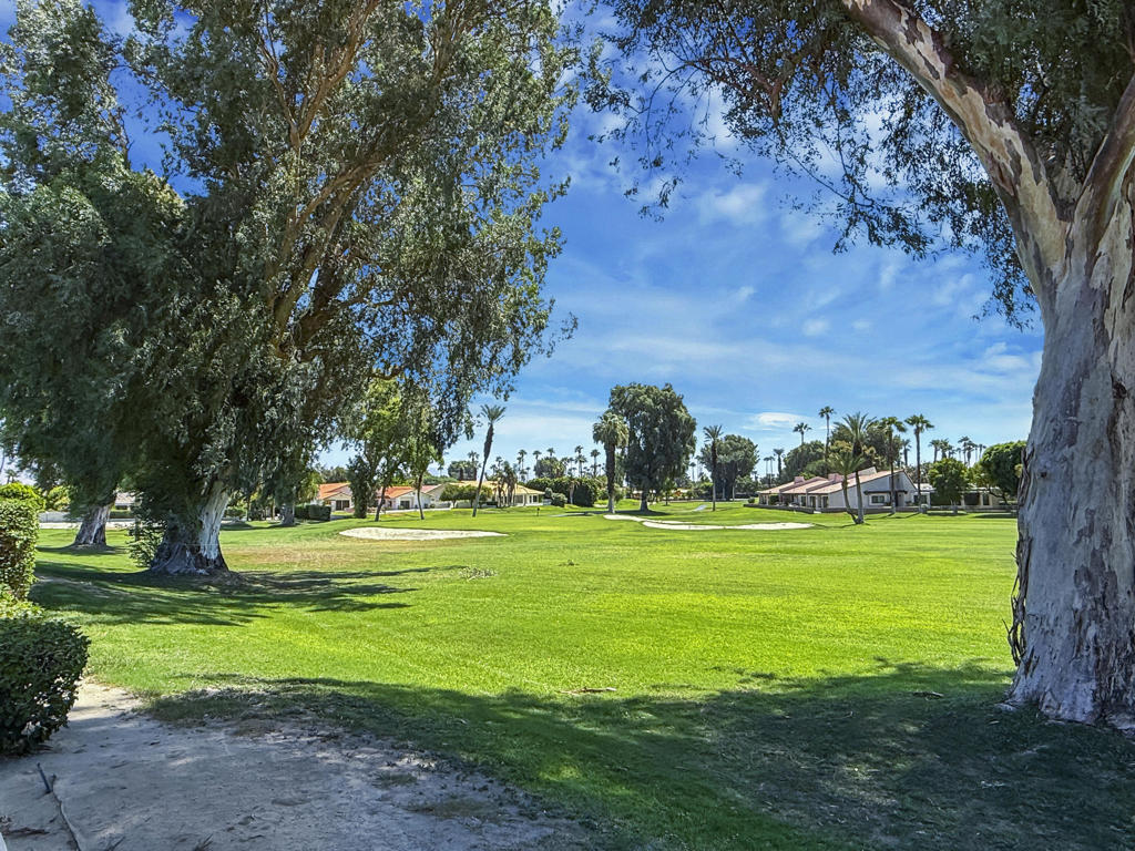 MLS #219134832DA image #33