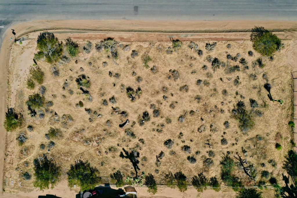 MLS #219134873DA image #2