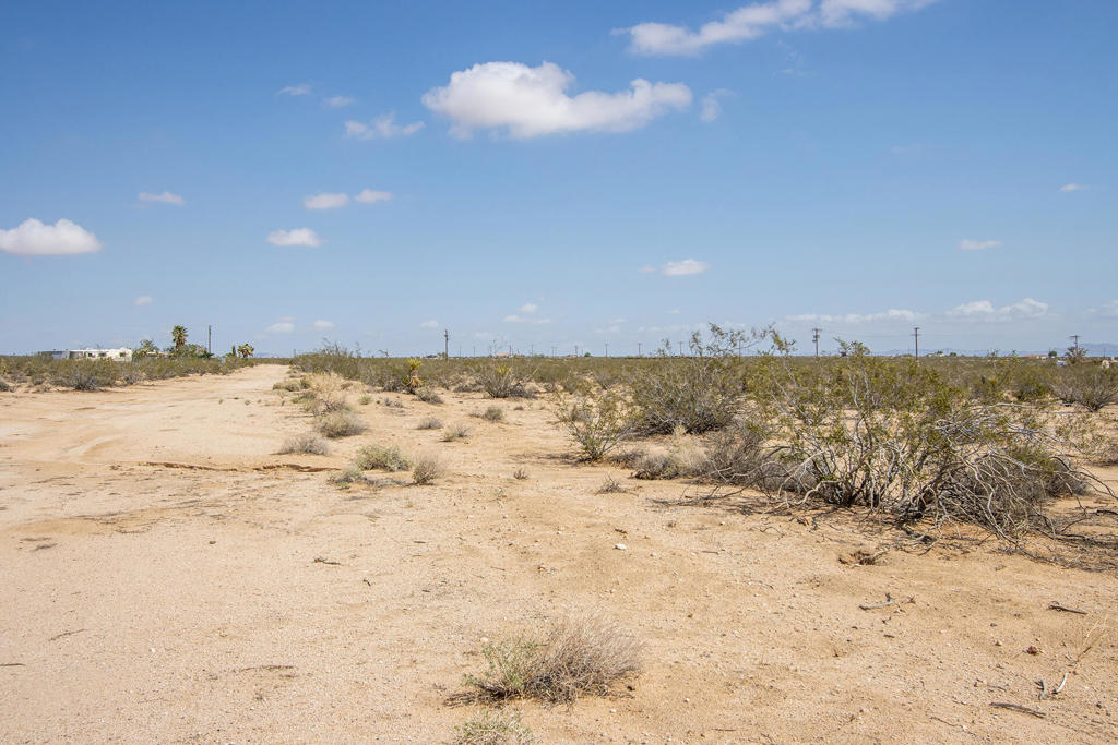 MLS #219134954PS image #11