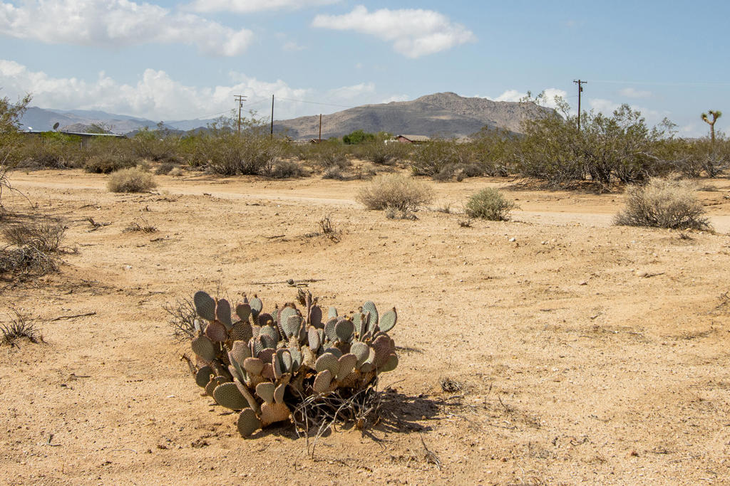 MLS #219134954PS image #18