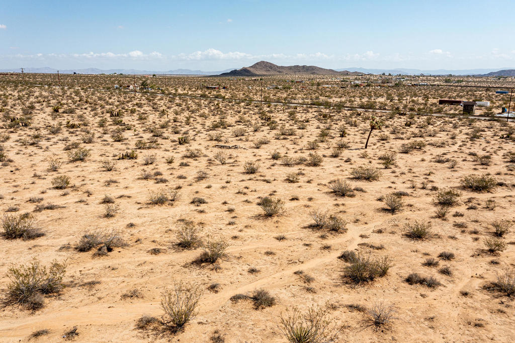 MLS #219134954PS image #5