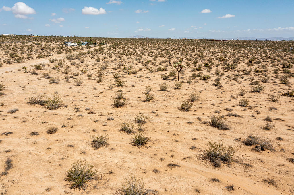 MLS #219134954PS image #7