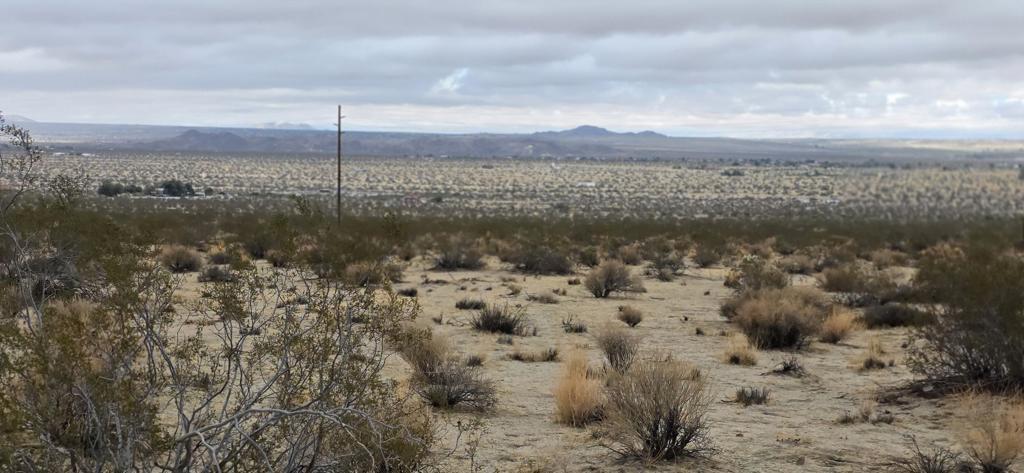 MLS #219135010PS image #12