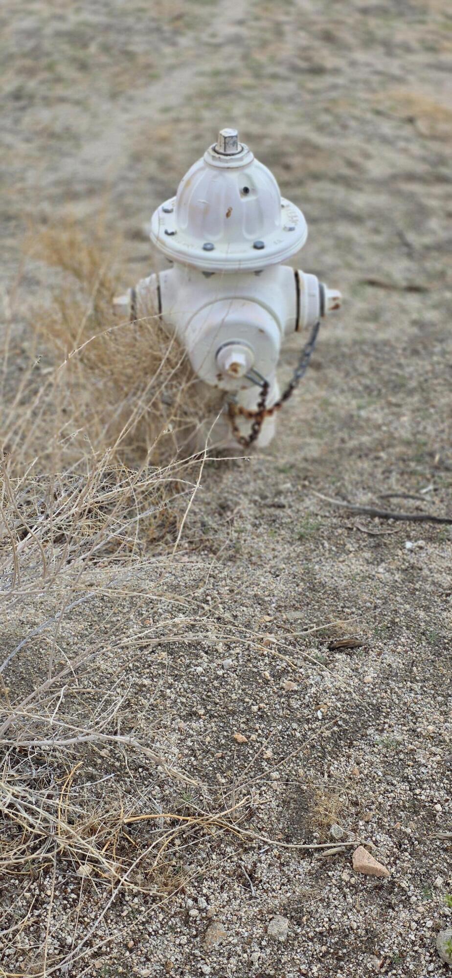 MLS #219135010PS image #13