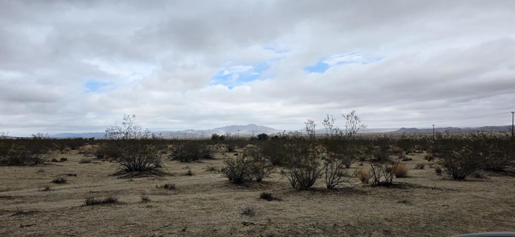 MLS #219135010PS image #14