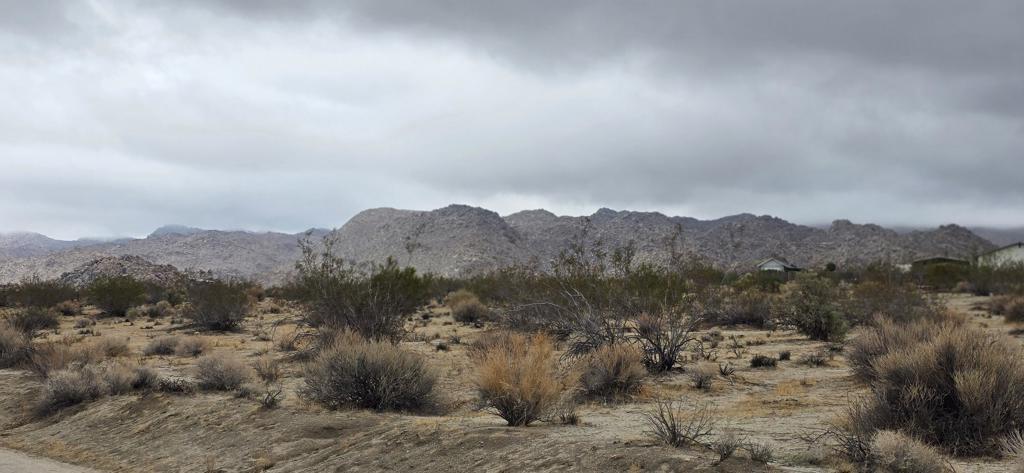 MLS #219135010PS image #7