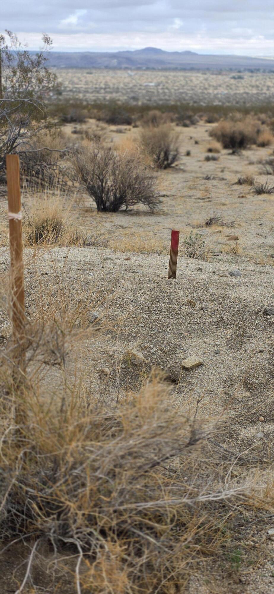 MLS #219135010PS image #9