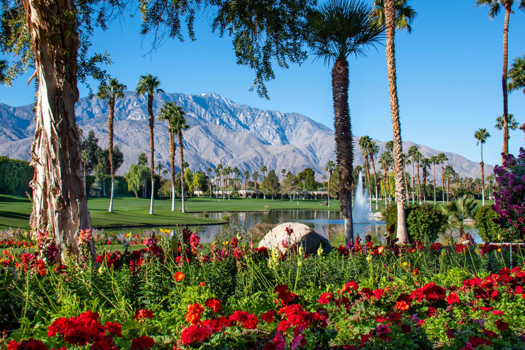 MLS #219135015DA image #34