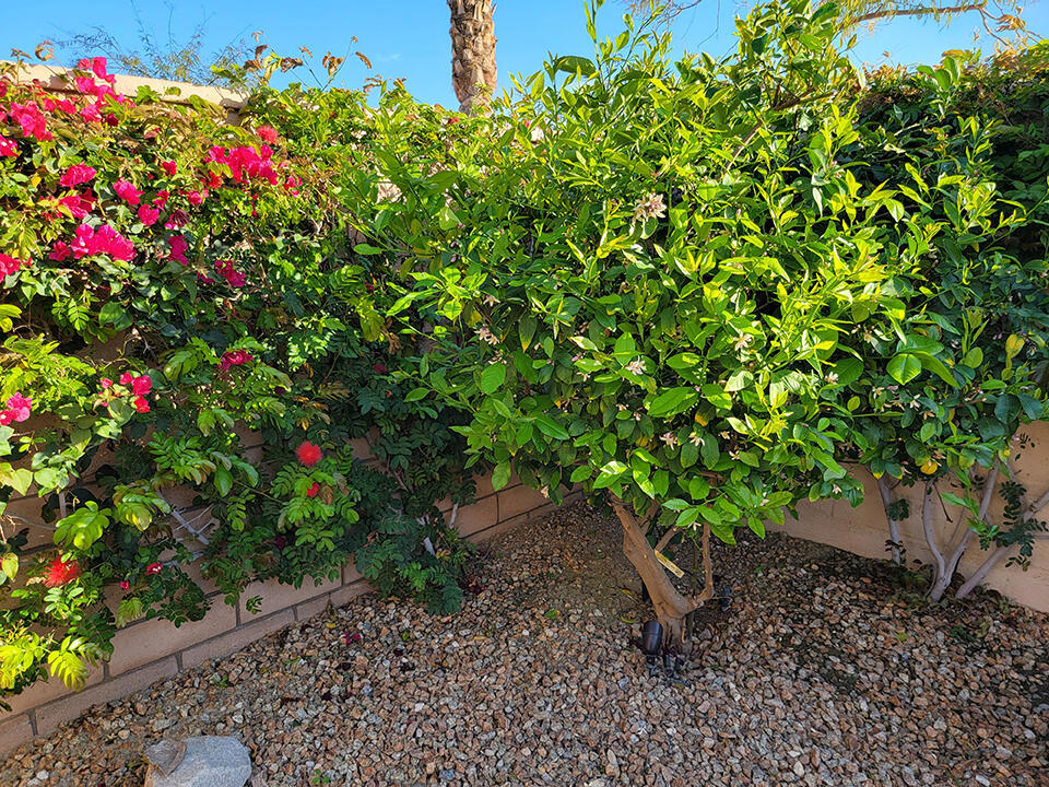 MLS #219135138DA image #35