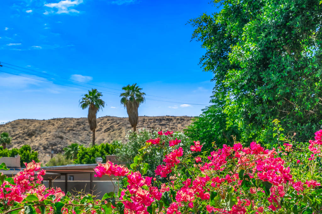 MLS #219135157PS image #28