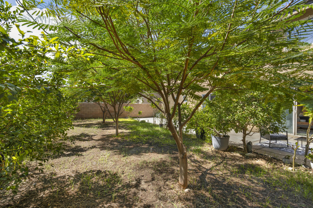 MLS #219135179DA image #32