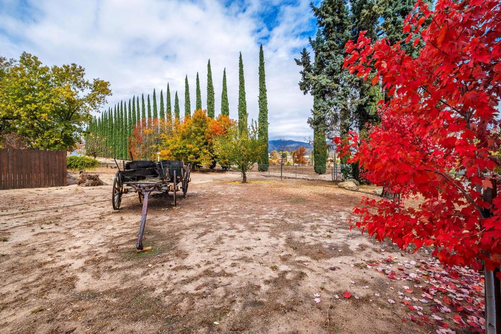 MLS #219135242PS image #13