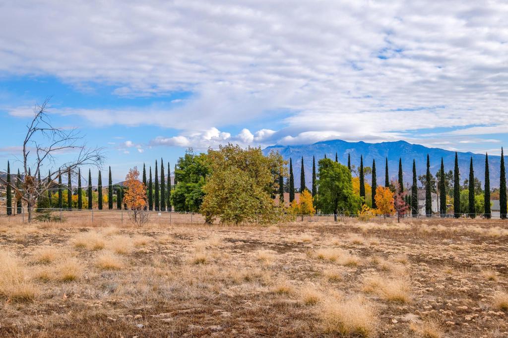 MLS #219135242PS image #6