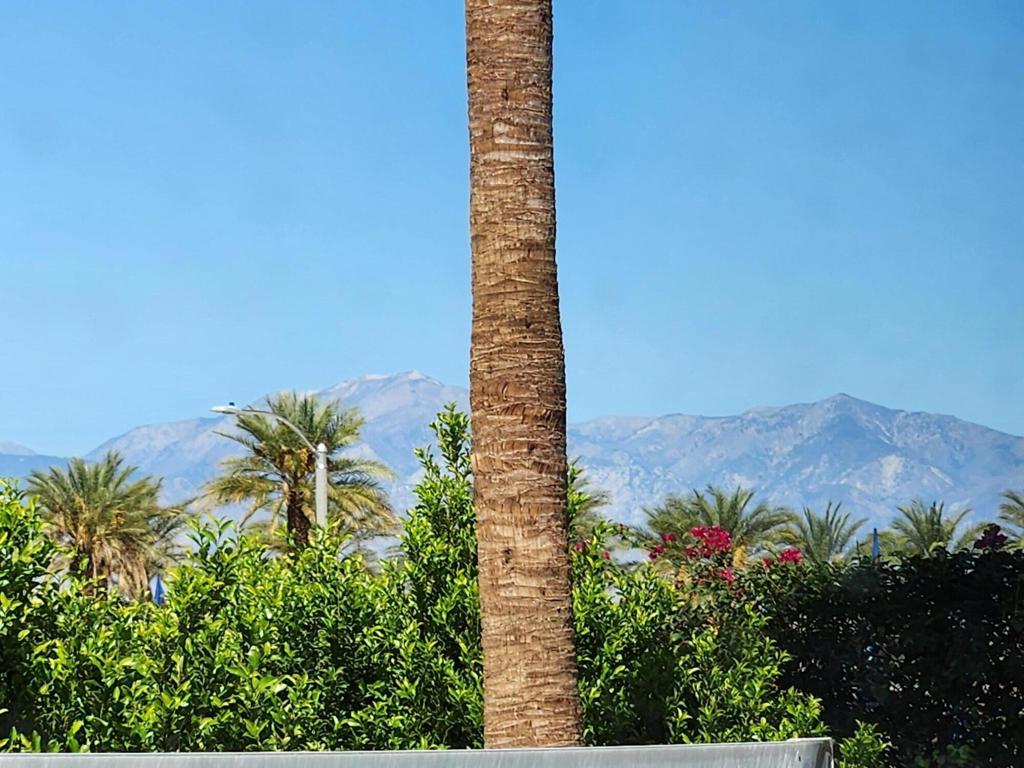 MLS #219135261DA image #38