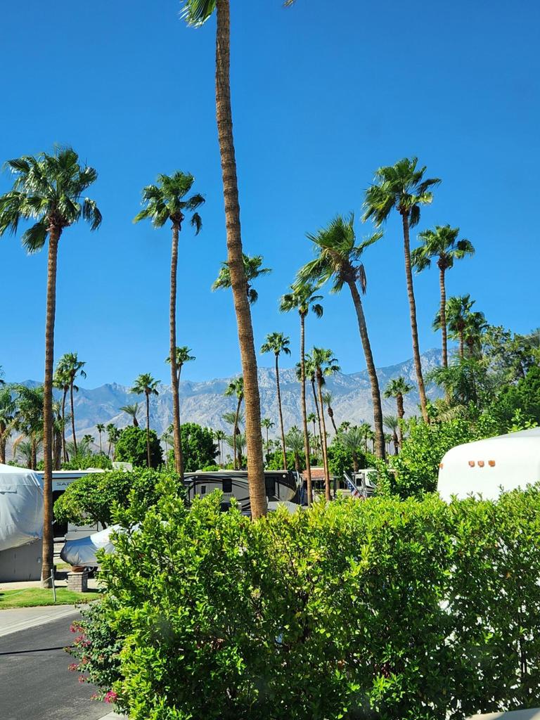 MLS #219135261DA image #39