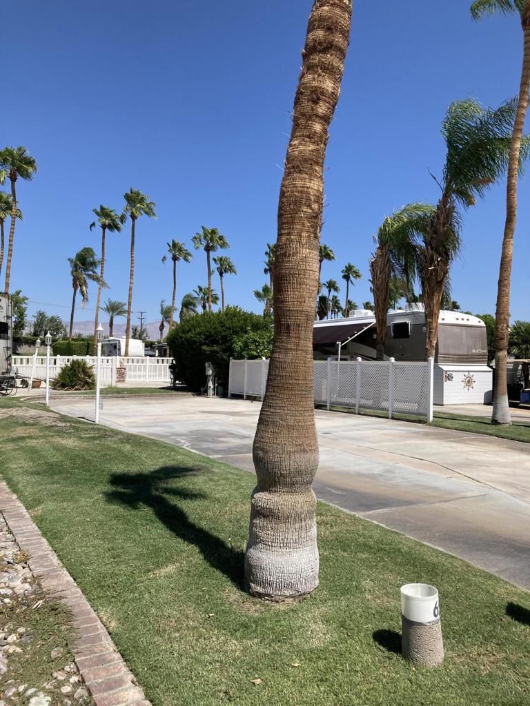 MLS #219135268DA image #2